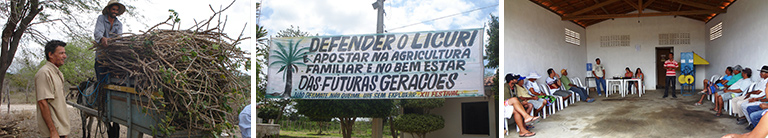 Topo