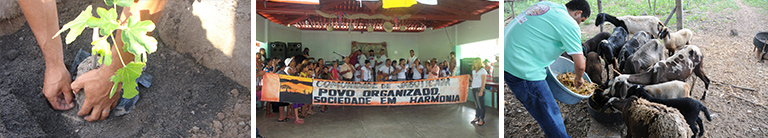 Topo