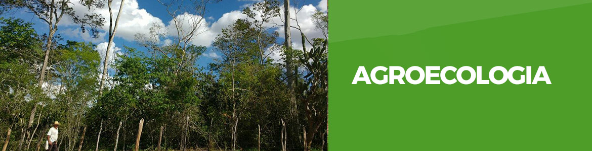 Agroecologia