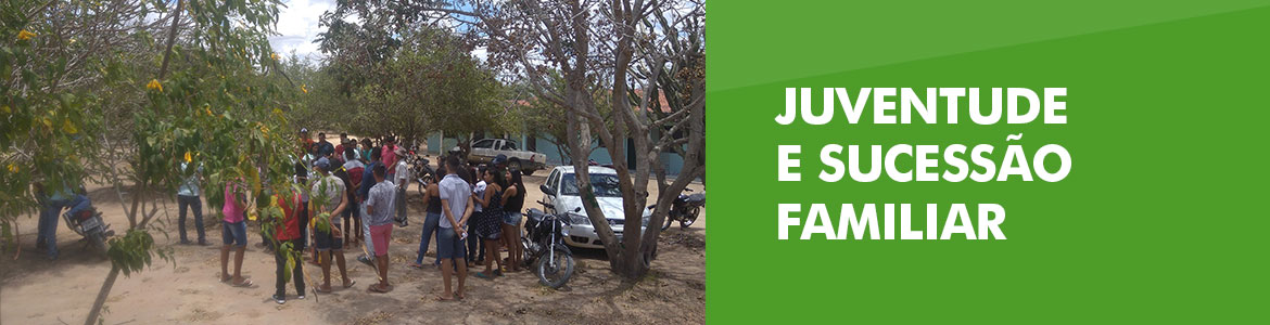 Juventude no meio rural e Sucessão Familiar