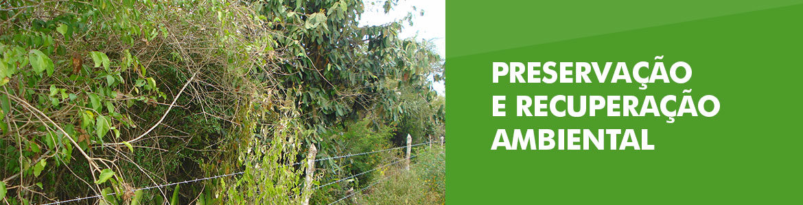 Preservação e Recuperação Ambiental