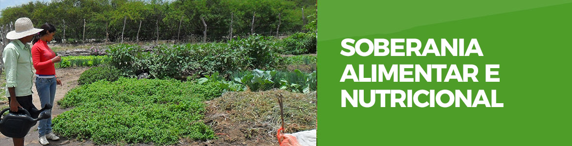 Soberania Alimentar e Nutricional